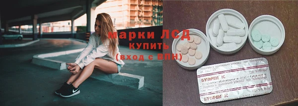 стаф Алексин