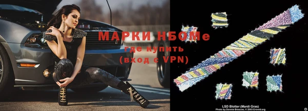 стаф Алексин