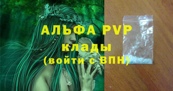 стаф Алексин