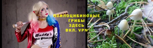 ГАЛЛЮЦИНОГЕННЫЕ ГРИБЫ Алзамай
