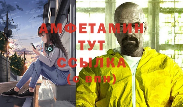 стаф Алексин